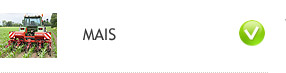 Mais