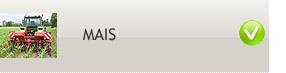 Mais
