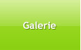 Galerie
